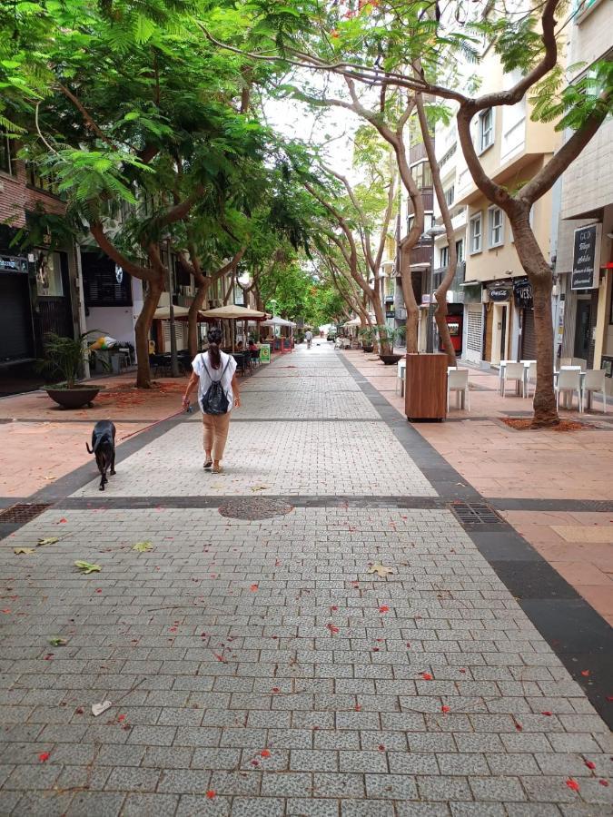Center Santa Cruz, Alojamiento Centrico Con Gran Terraza, Cocina , Salon Y Banos, Todo Privado Exterior foto